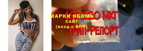 скорость Бронницы